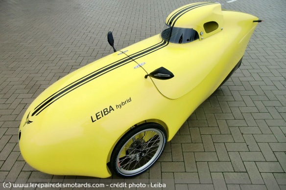 Leiba Hybrid
