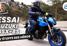 Suzuki GSX-8S