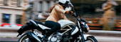Essai Suzuki Gladius