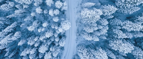 Les effets secondaires de la pelle à neige (c) photo : Ruvim Miksanskiy