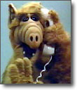 Alf