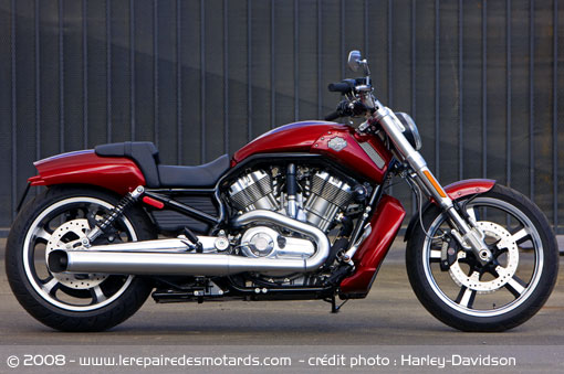 Harley-Davidson VROD Muscle