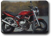 Suzuki Bandit 250