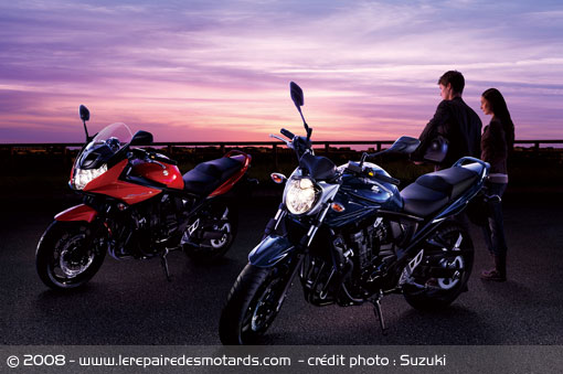 Suzuki Bandit 650 S 2009