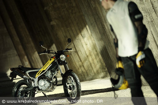Yamaha Tricker 250