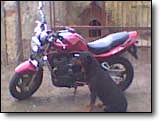 Bandit 1200 - Hans Erik