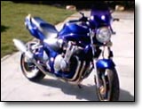 Bandit 600 - Nicolas
