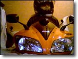 Yamaha R1 - Luluzyfr