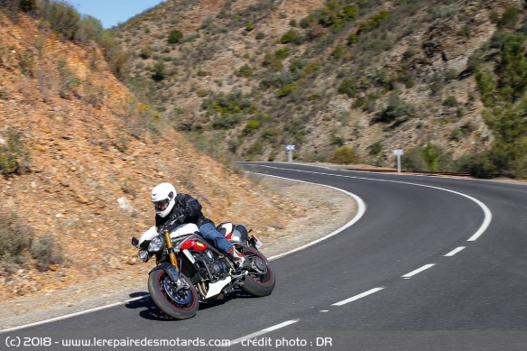 Triumph Speed Triple équipée en Michelin Road 5