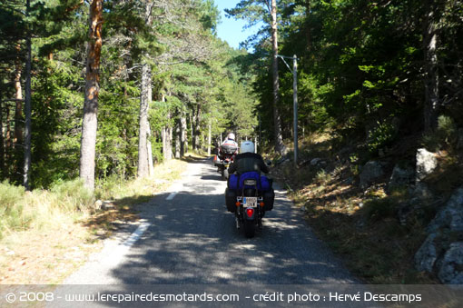 Raid 100 for&ecirc;t