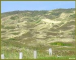 dunes de biville