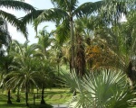 sur la route parc naturel