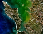 Vue satellite de l'île d'Oléron