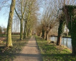 Le parc de la B�ch�re (c) Hg marigny