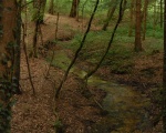 Le bois du Banel (c) Kevin 08110