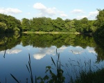 Etang de Villebong dans la forêt de Meudon (c) Félix Potuit