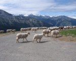 Col d'Aubisque