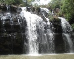 chutes