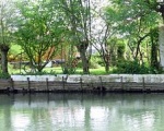Les marais de l'Yvelle et de la Voiselle