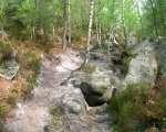 La for�t de Fontainebleau (c) Romary