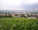 Epernay et ses vignobles