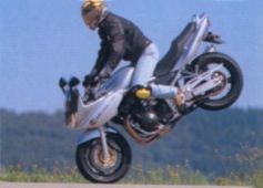 Stoppie Bandit 1200 - 2001