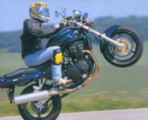 Wheeling Bandit 1200