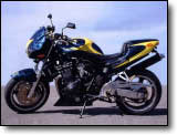 Bandit 1200 Millenium