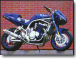 Bandit 1200