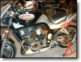 Bandit 600