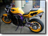Bandit 1200 - peinture perso serpent
