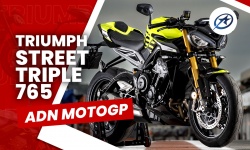 Roadsters Triumph Street Triple 765 R, RS et Moto2