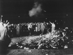 Autodafés de 1933 : des livres écrits par des auteurs juifs sont brûlés par les nazis