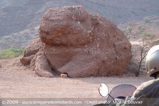 argentine-cafayate-crapeau