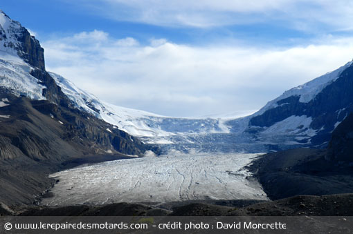 Champ de glace