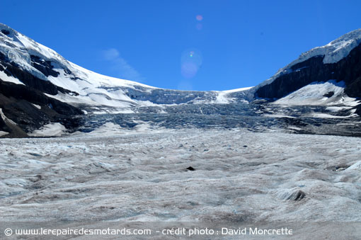 champ de glace Columbia