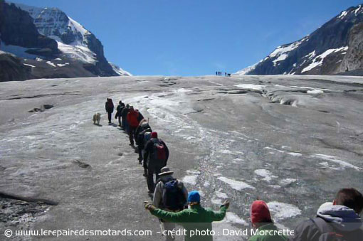 Glacier Athabasca