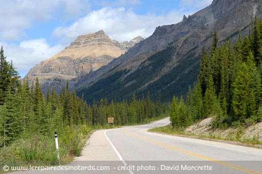 Icefields Parkway 93