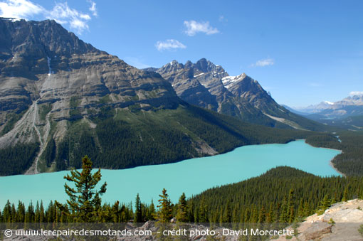 Lac Peyto