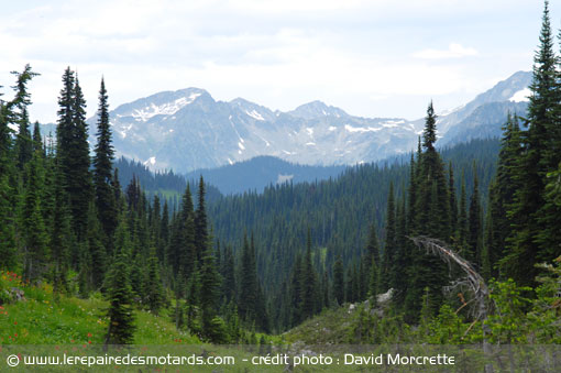 Montagnes du parc de Revelstoke