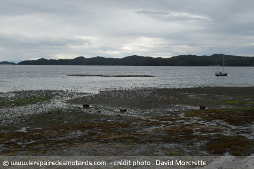 Plage de Storey
