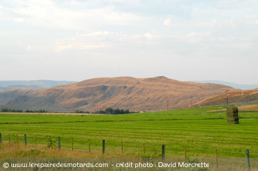 Prairies