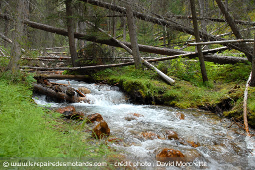 Rivière