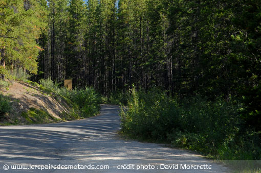 la route Cavell