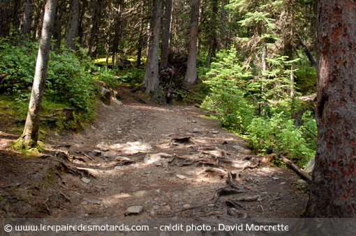 Sentier au-dessus du Lac Louise