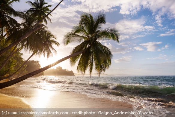 Pacifique ou Caraïbes, le pays abrite près de 600 plages