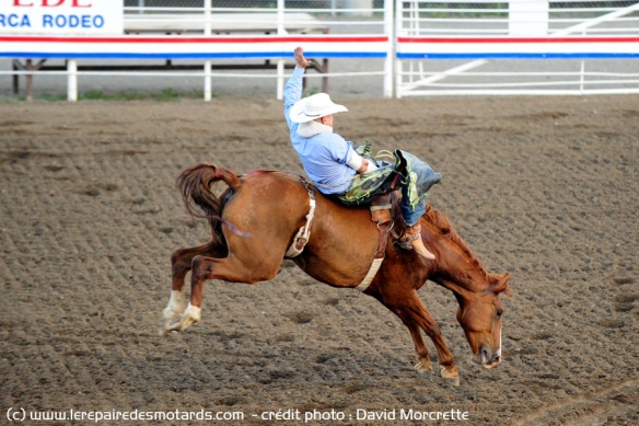 wild west show à cody, capitale du rodeo