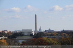 Washington D.C.
