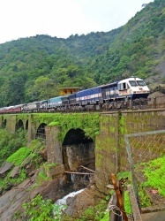 Un train à Dudhsagar