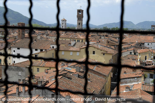 Les toits de Lucca